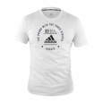 Picture of adidas karate t-shirt